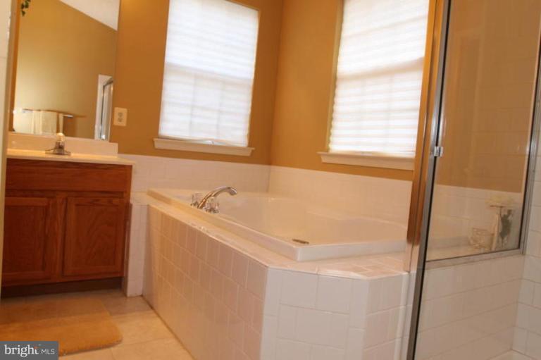 10110 Summershade Lane Springdale, MD 20721 - Photo 8 of 10 Master Bath