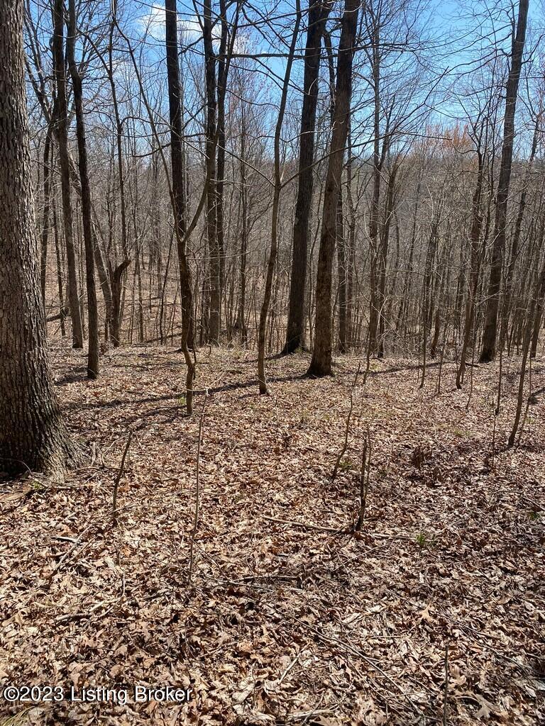 5970 Rabbit Flat Road Caneyville, KY 42721 - Photo 11 of 15 14.6 Acres9
