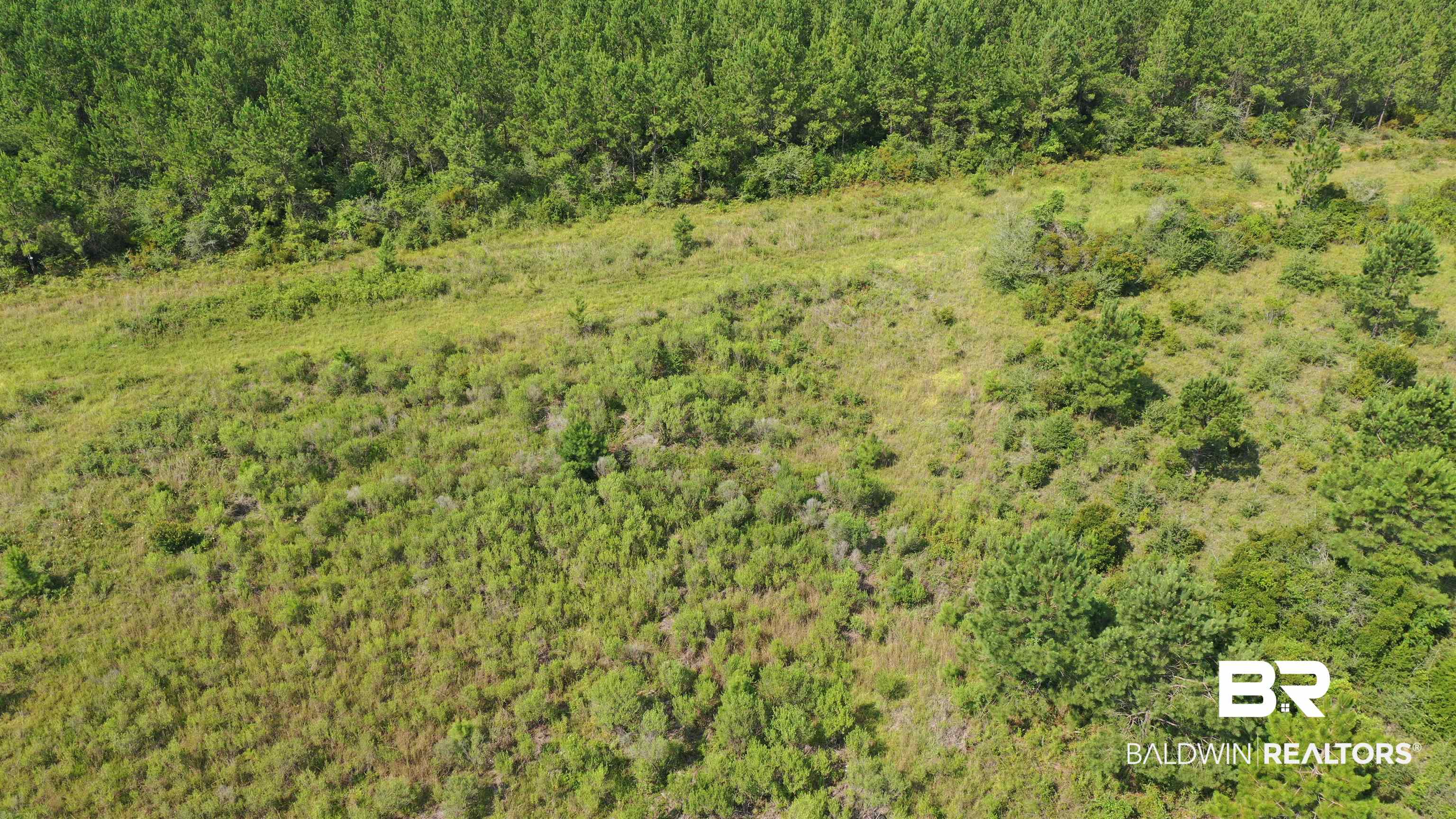 0 Highway 113 Flomaton, AL 36441 - Photo 19 of 24 View of landscape