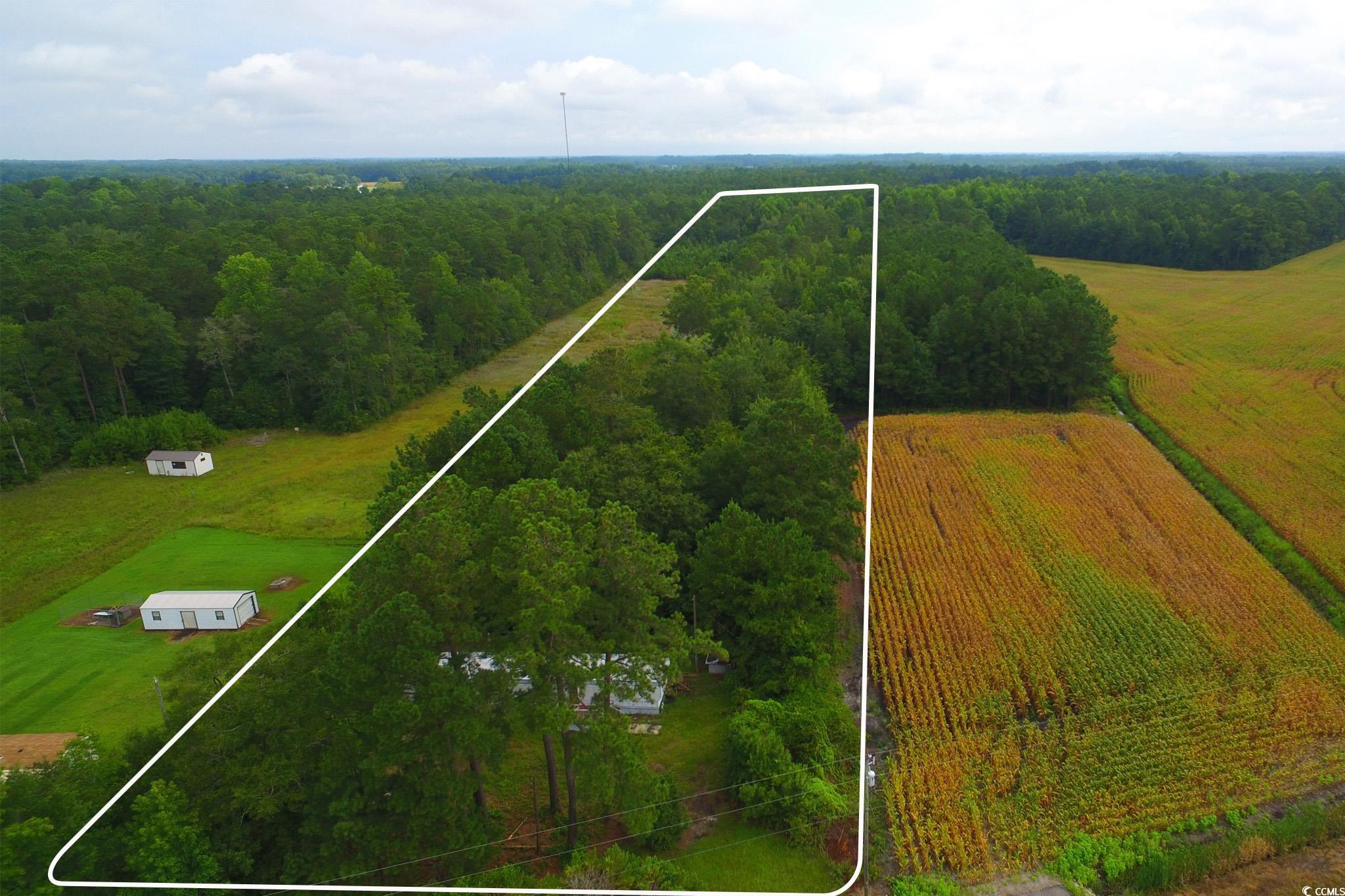 2187 Armview Road Loris, SC 29569 - Photo 1 of 13 Aerial view of sparsely populated area featuring property parcel outlined and a forest