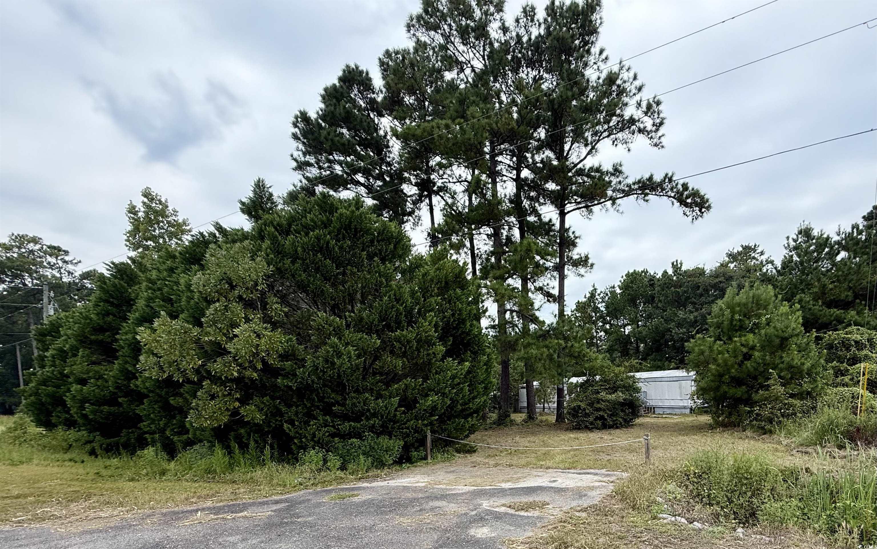2187 Armview Road Loris, SC 29569 - Photo 11 of 13 View of road