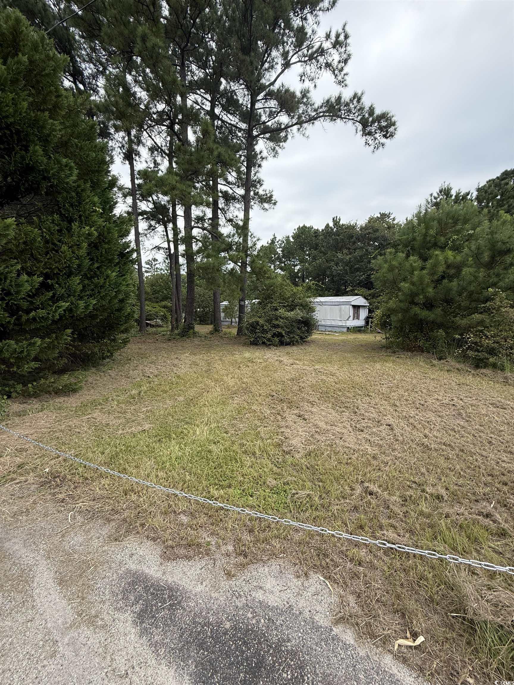 2187 Armview Road Loris, SC 29569 - Photo 12 of 13 View of yard