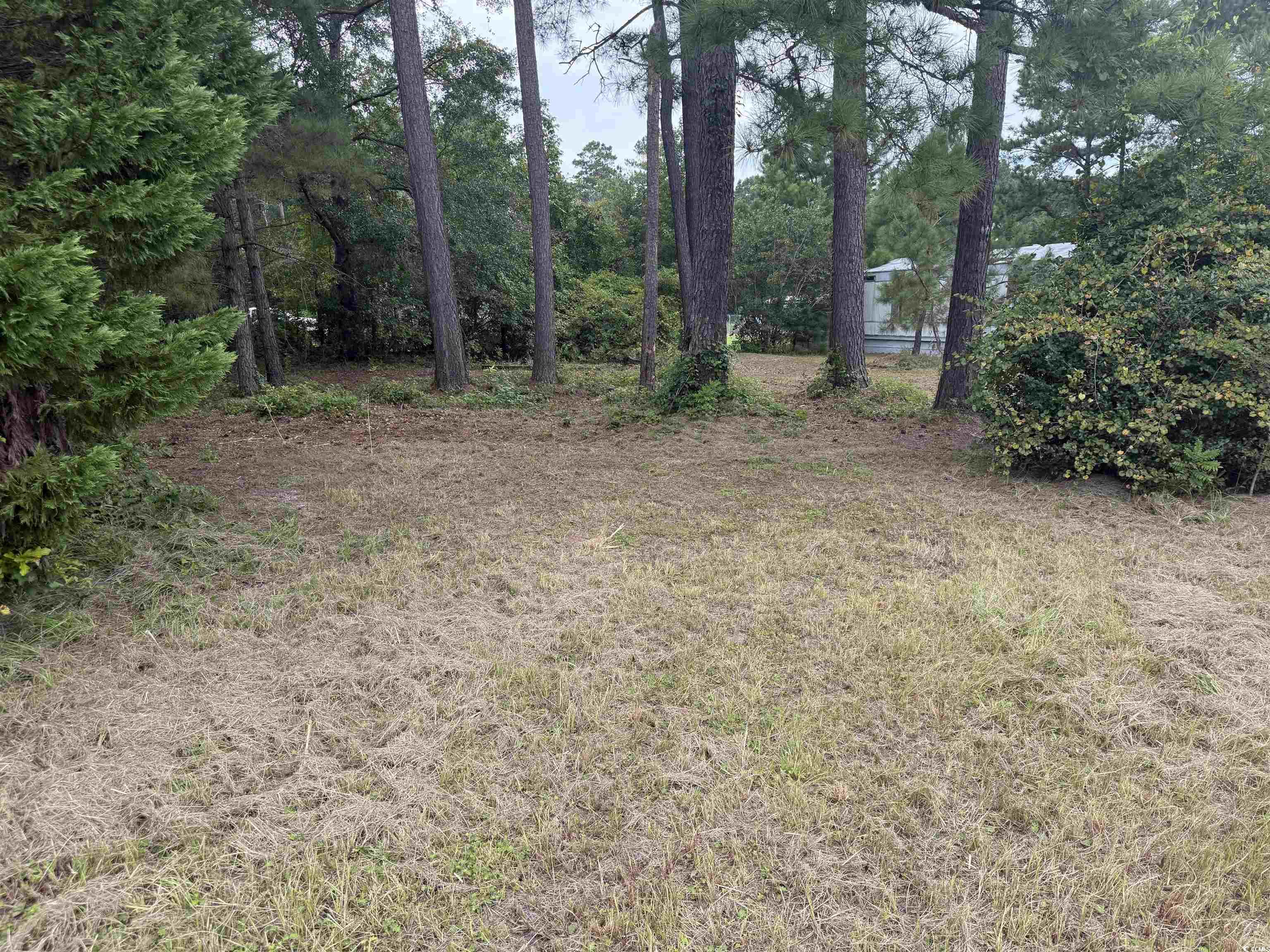 2187 Armview Road Loris, SC 29569 - Photo 13 of 13 View of yard