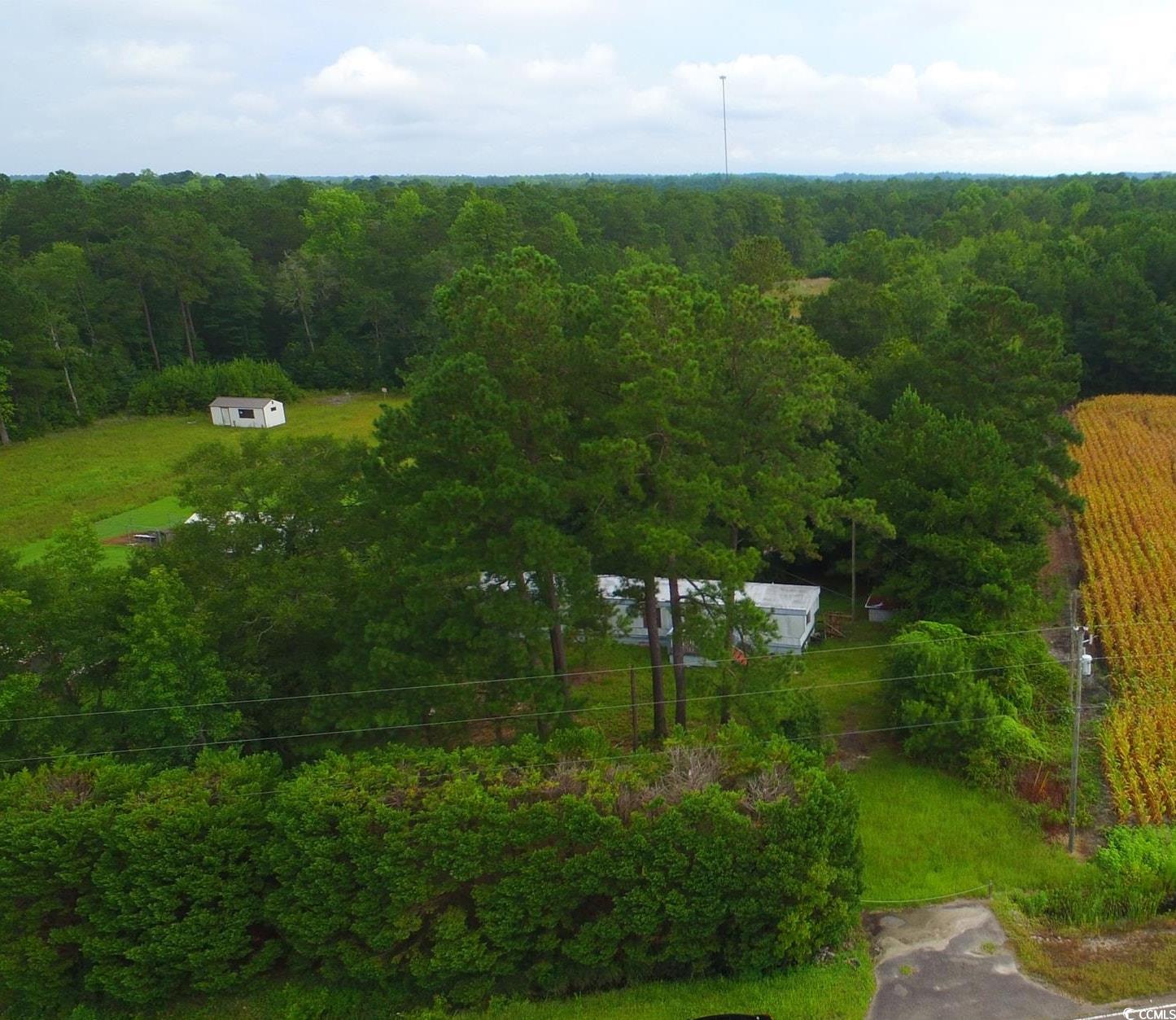 2187 Armview Road Loris, SC 29569 - Photo 3 of 13 Drone / aerial view of a forest