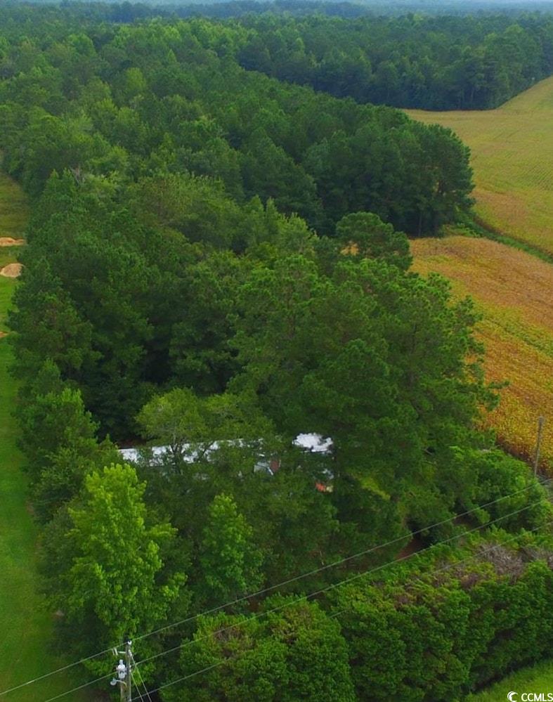 2187 Armview Road Loris, SC 29569 - Photo 5 of 13 View of rural area with a forest