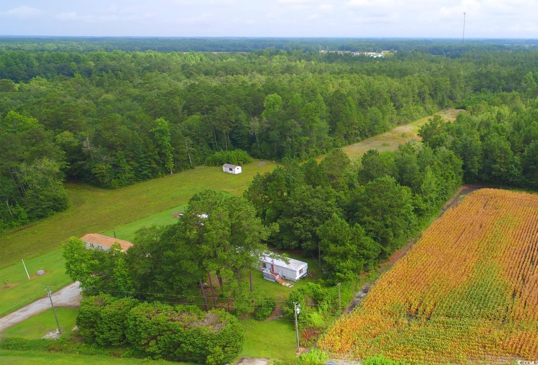 2187 Armview Road Loris, SC 29569 - Photo 6 of 13 View of rural area with a heavily wooded area
