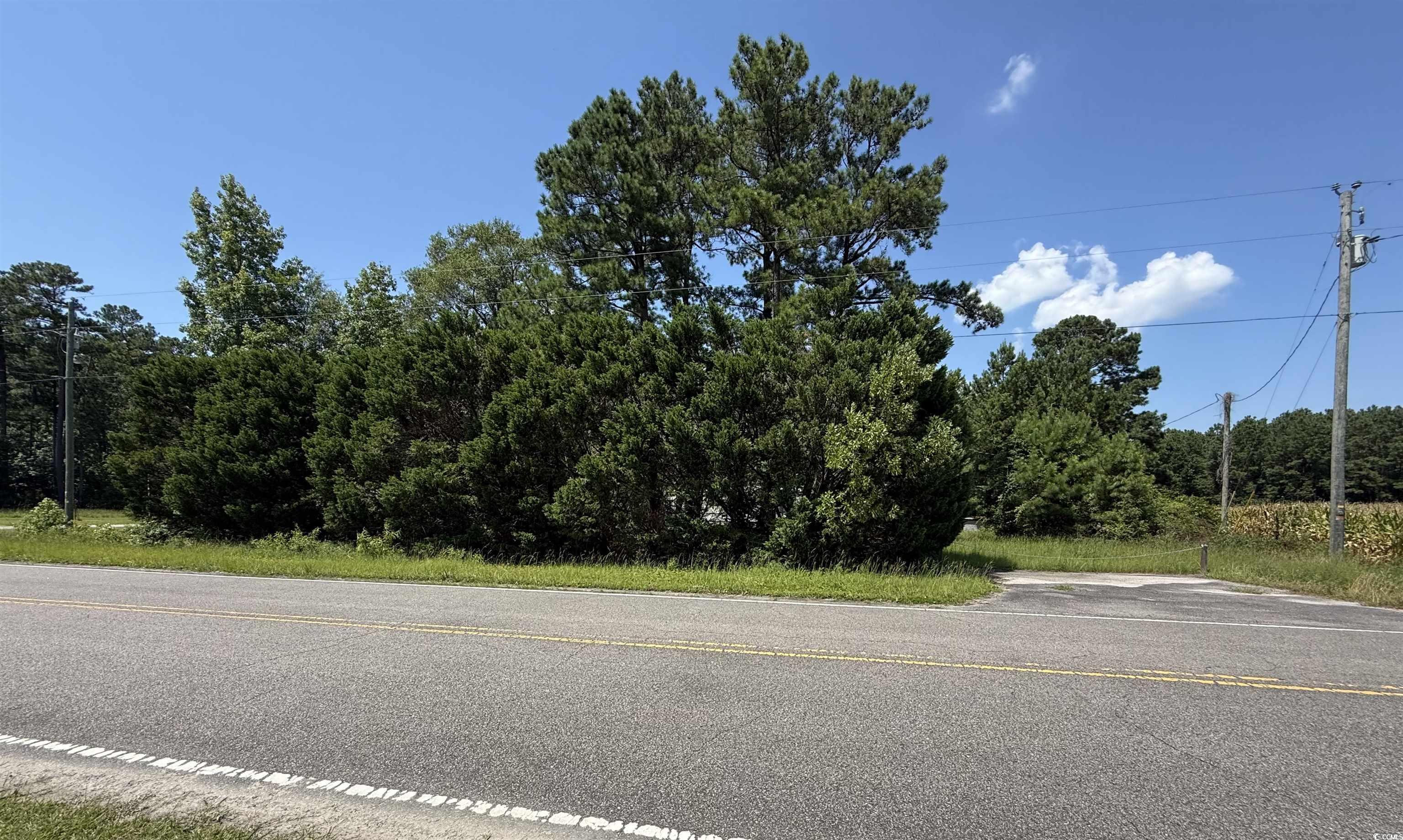 2187 Armview Road Loris, SC 29569 - Photo 8 of 13