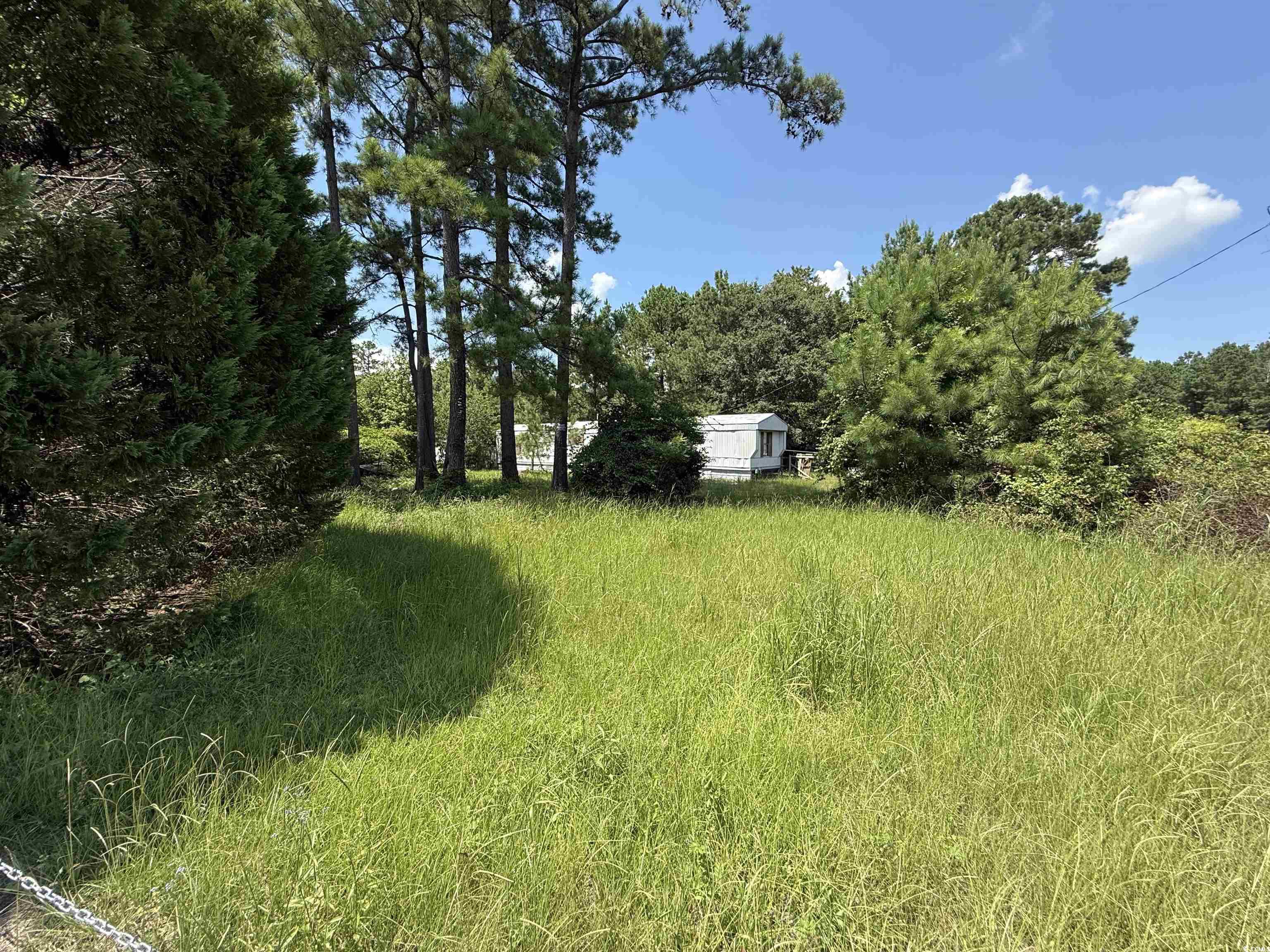 2187 Armview Road Loris, SC 29569 - Photo 9 of 13 View of yard