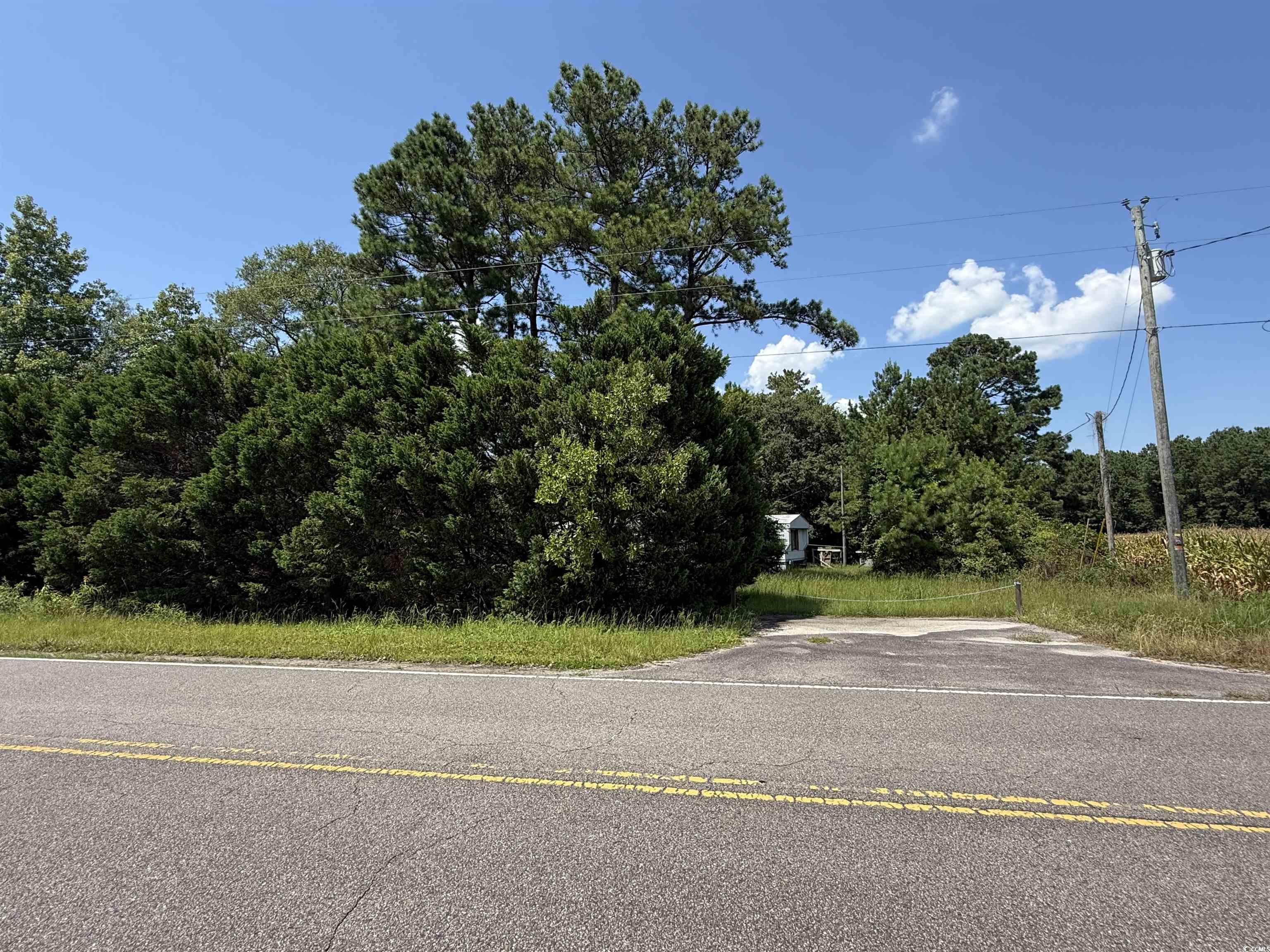 2187 Armview Road Loris, SC 29569 - Photo 10 of 13