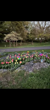 a view of a flower garden in a yard