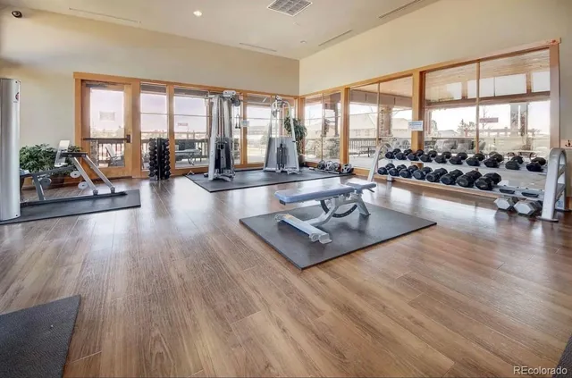 a view of a garden with couches