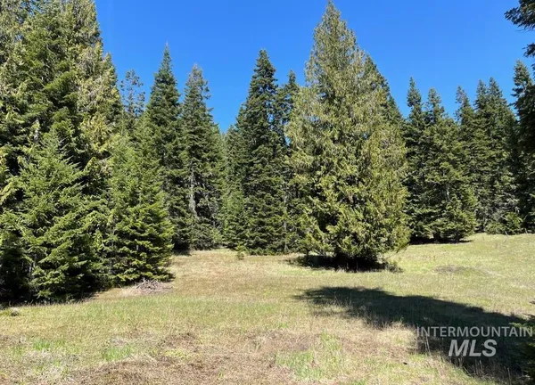 $133,900 | 936 Red Fir Road, Kooskia, ID 83539