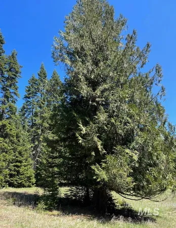 $133,900 | 936 Red Fir Road, Kooskia, ID 83539