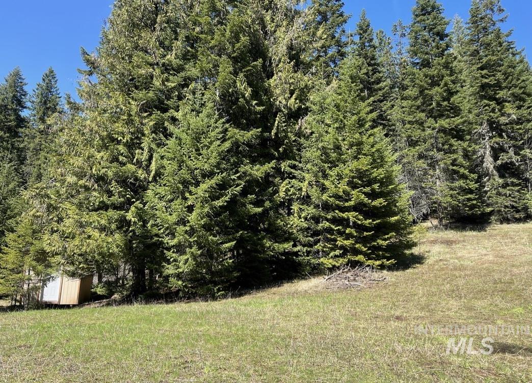 936 Red Fir Road Kooskia, ID 83539 - Photo 13 of 29