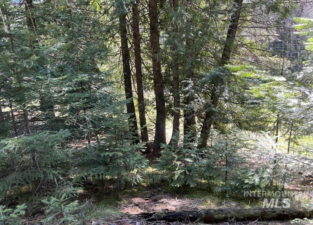 936 Red Fir Road Kooskia, ID 83539 - Photo 14 of 29