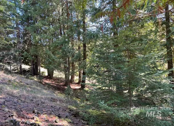 $133,900 | 936 Red Fir Road, Kooskia, ID 83539