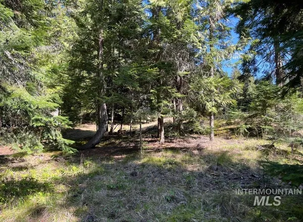 $133,900 | 936 Red Fir Road, Kooskia, ID 83539