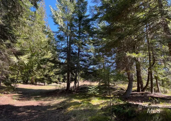 $133,900 | 936 Red Fir Road, Kooskia, ID 83539
