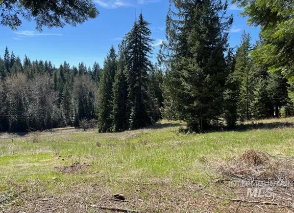 $133,900 | 936 Red Fir Road, Kooskia, ID 83539