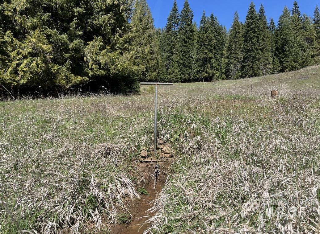 936 Red Fir Road Kooskia, ID 83539 - Photo 5 of 29