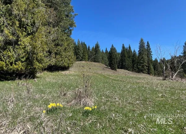 $133,900 | 936 Red Fir Road, Kooskia, ID 83539