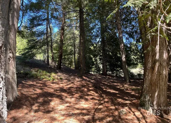 $133,900 | 936 Red Fir Road, Kooskia, ID 83539