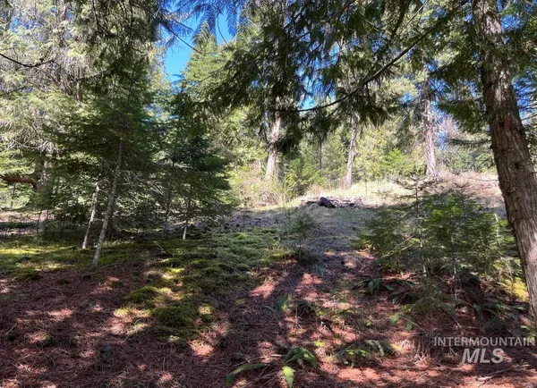 $133,900 | 936 Red Fir Road, Kooskia, ID 83539