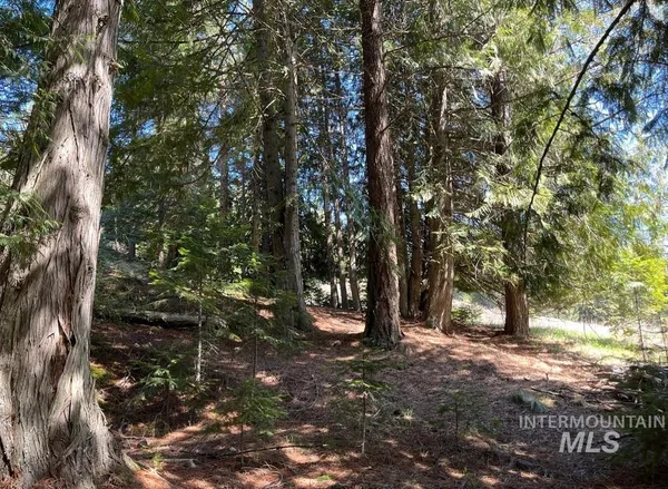 $133,900 | 936 Red Fir Road, Kooskia, ID 83539