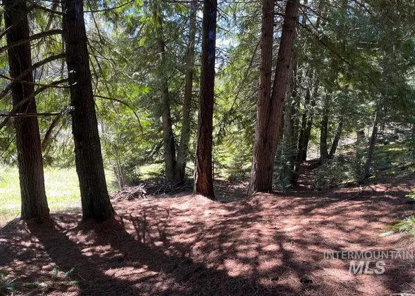 $133,900 | 936 Red Fir Road, Kooskia, ID 83539