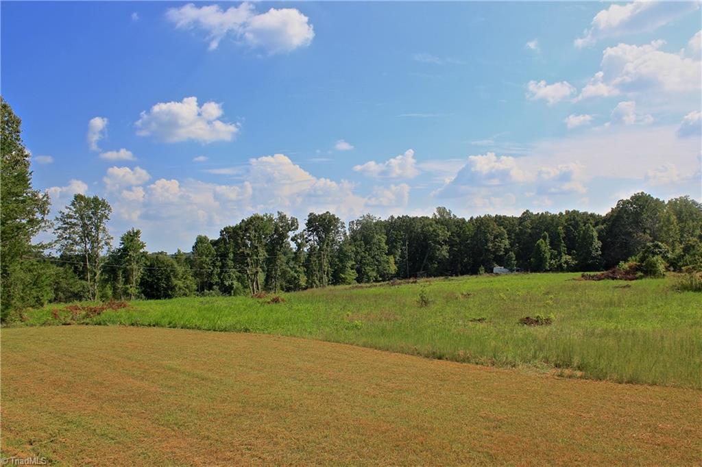 234 Paschall Road Summerfield, NC 27358 - Photo 1 of 24