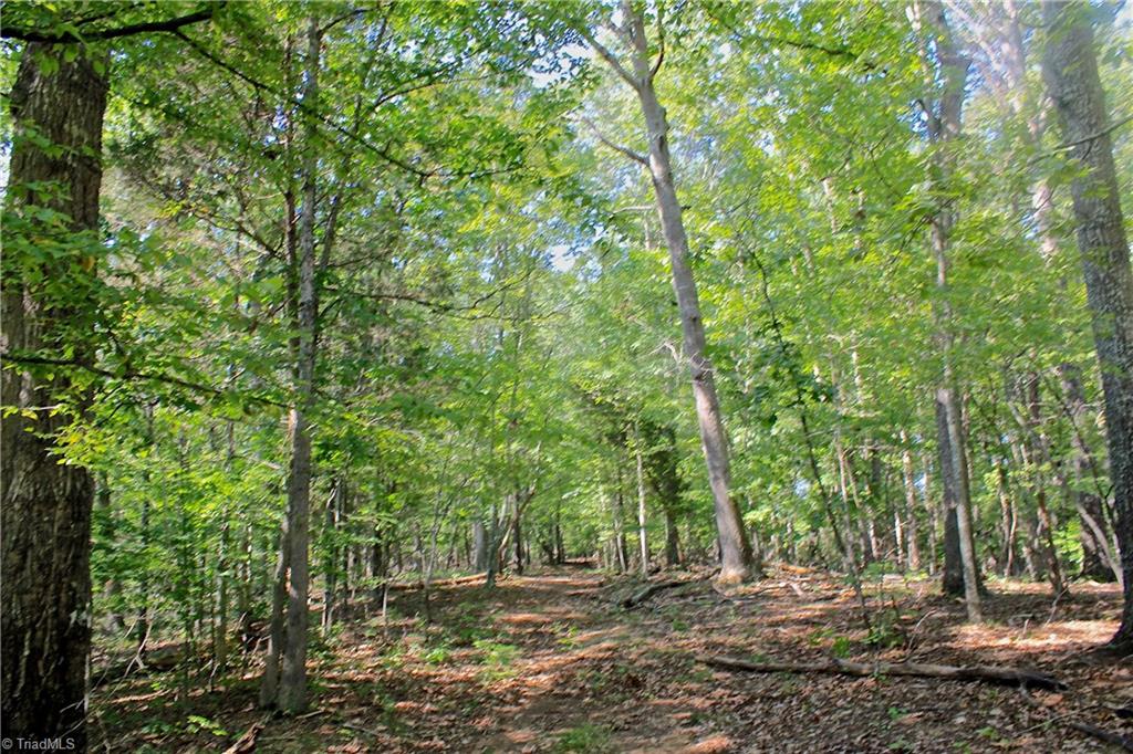 234 Paschall Road Summerfield, NC 27358 - Photo 14 of 24