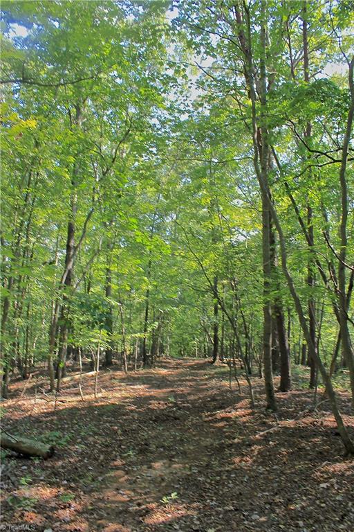234 Paschall Road Summerfield, NC 27358 - Photo 16 of 24