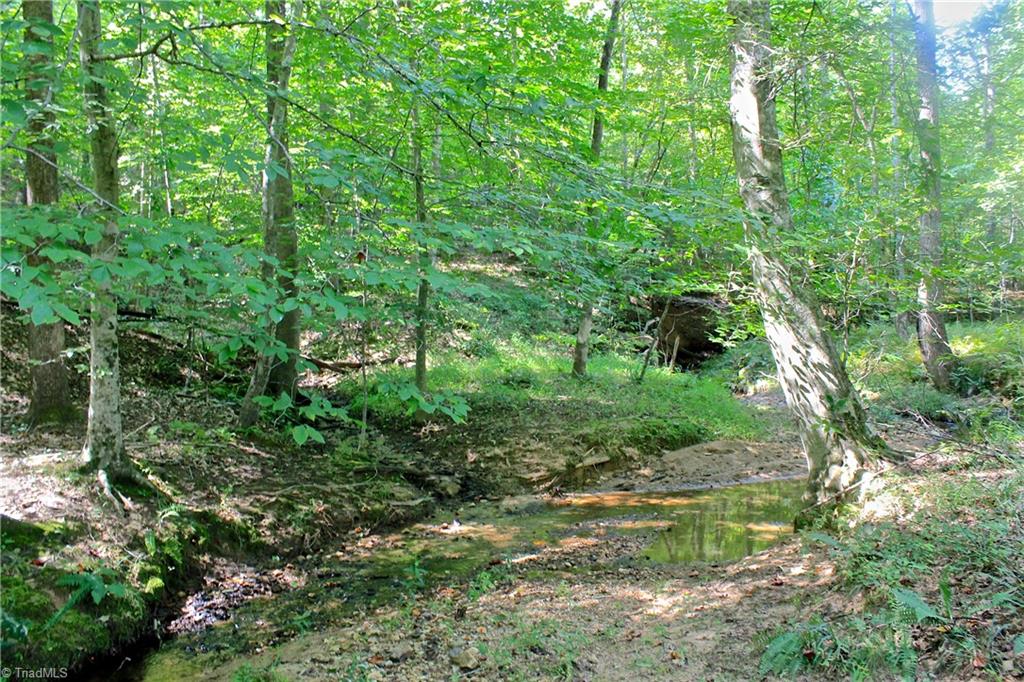 234 Paschall Road Summerfield, NC 27358 - Photo 18 of 24