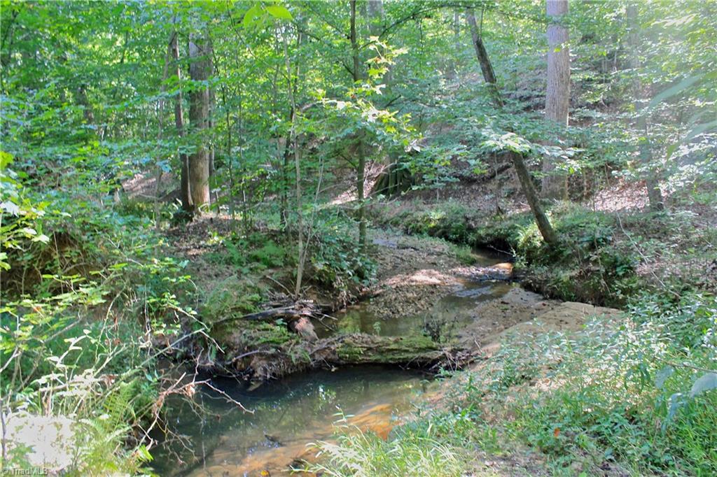 234 Paschall Road Summerfield, NC 27358 - Photo 19 of 24