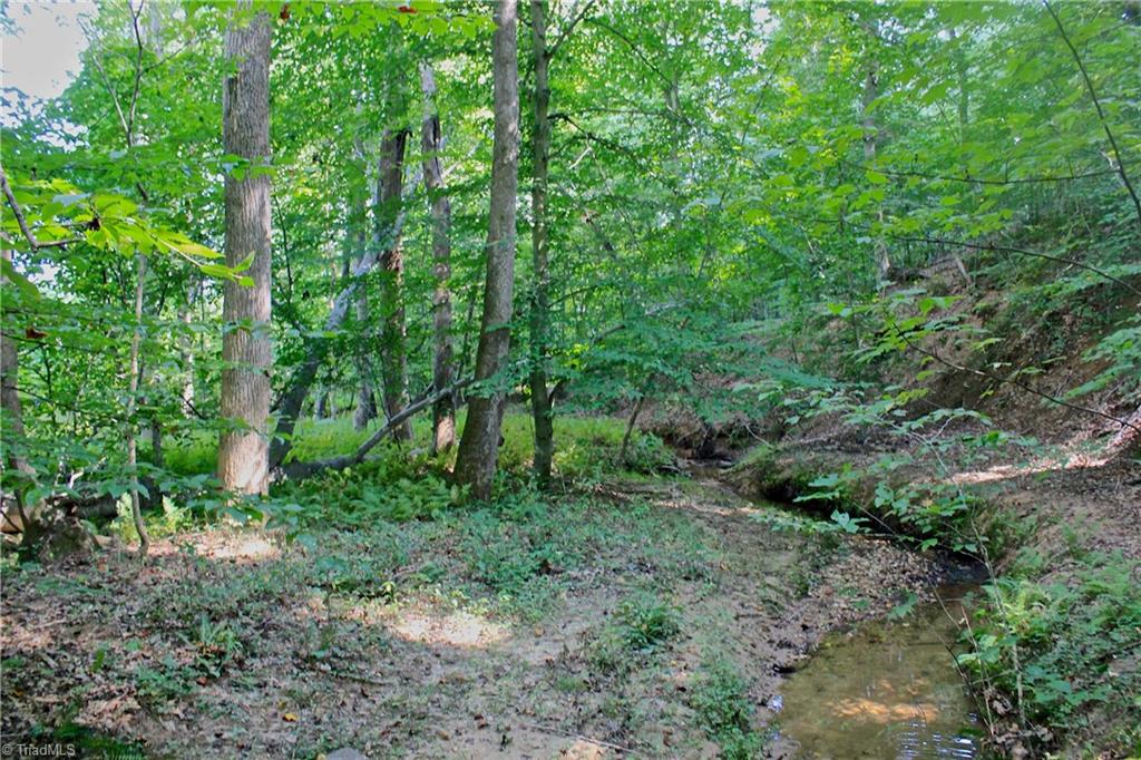 234 Paschall Road Summerfield, NC 27358 - Photo 20 of 24