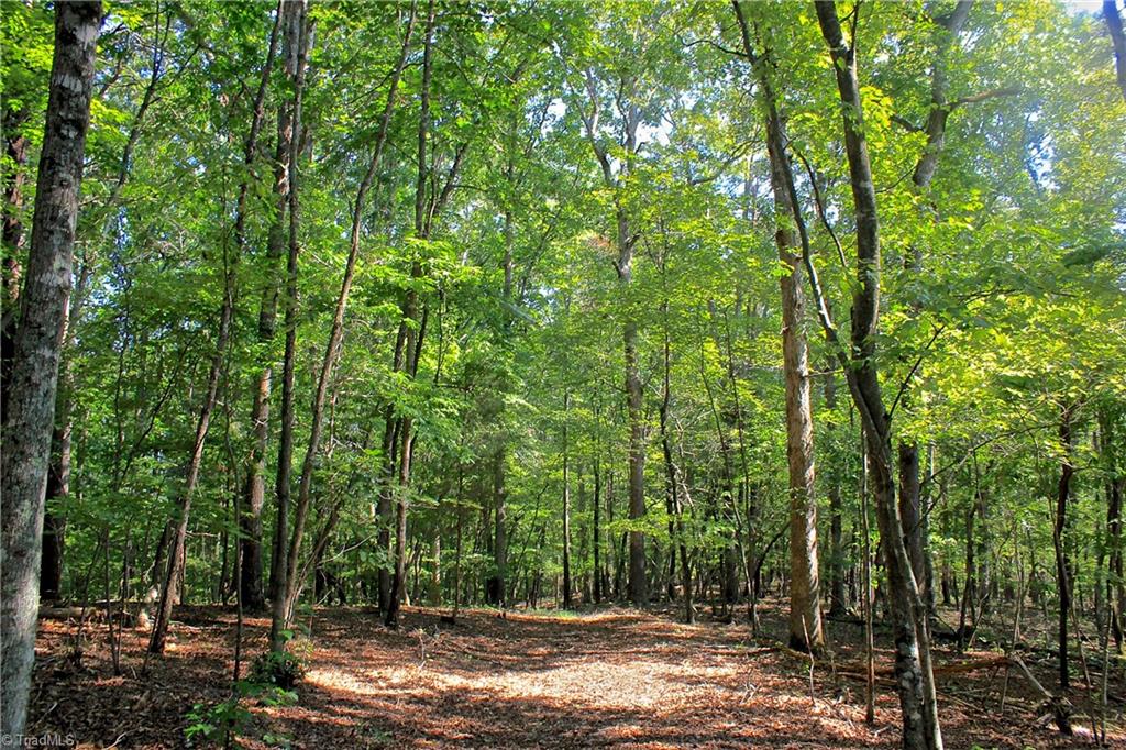 234 Paschall Road Summerfield, NC 27358 - Photo 3 of 24