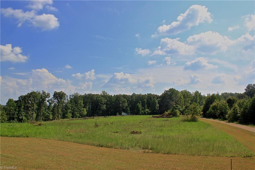234 Paschall Road Summerfield, NC 27358 - Photo 22 of 24