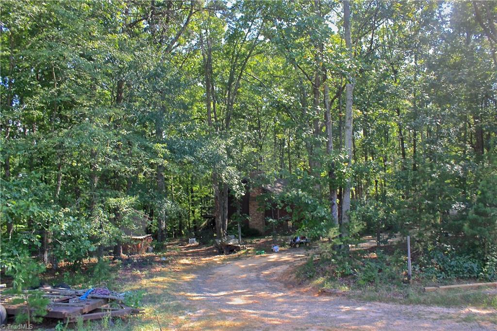 234 Paschall Road Summerfield, NC 27358 - Photo 10 of 24