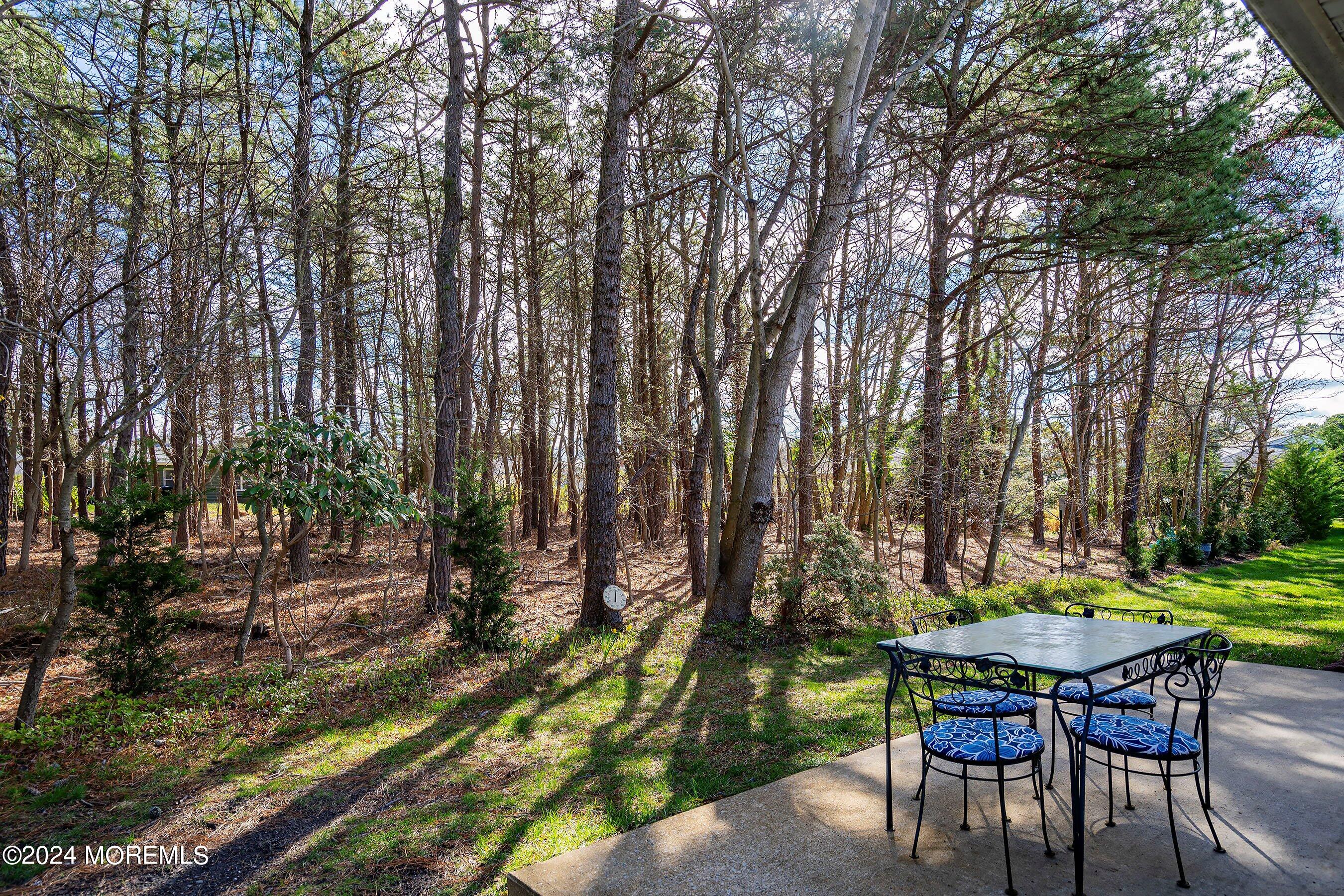 74 Meadowbrook Road Brick, NJ 08723 - Photo 23 of 35 27-Rear Privacy 1