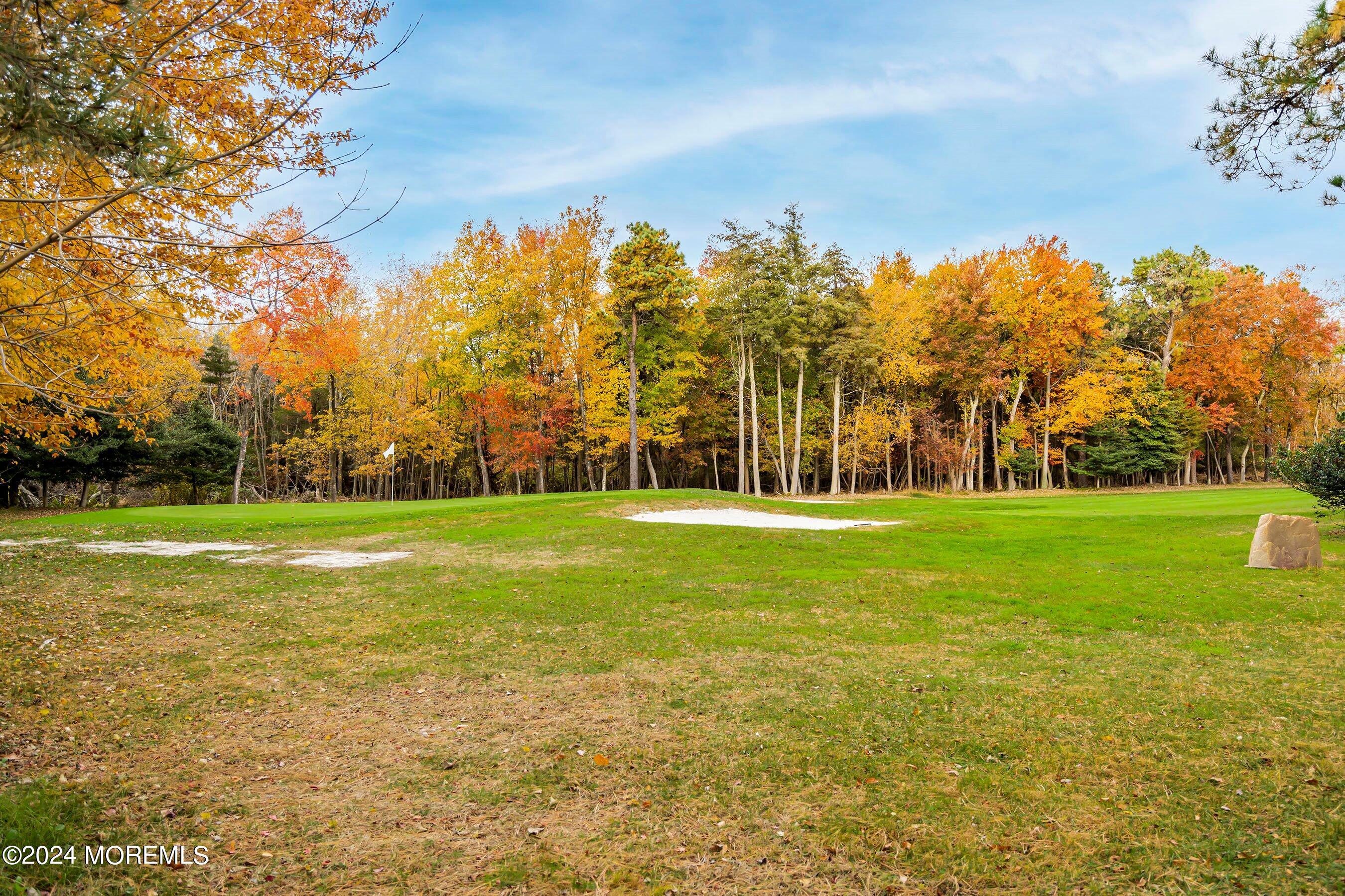74 Meadowbrook Road Brick, NJ 08723 - Photo 28 of 35 35-Golf 1