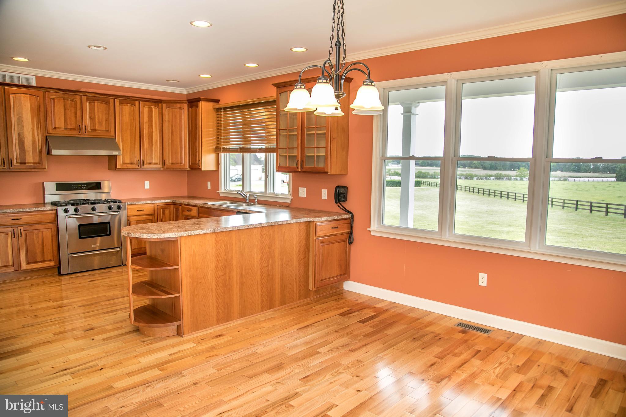 3310 Redden Ferry Road Eden, MD 21822 - Photo 11 of 74