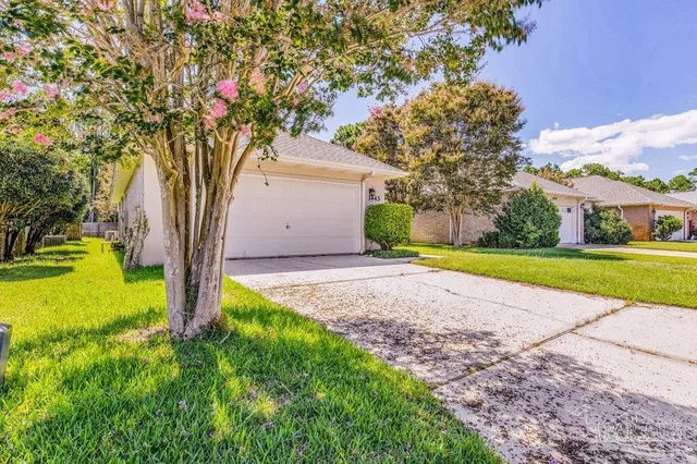 a house with tree in front of it
