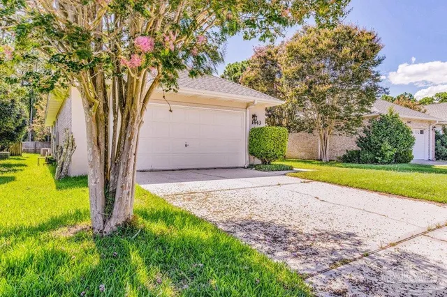 a view of backyard with tree