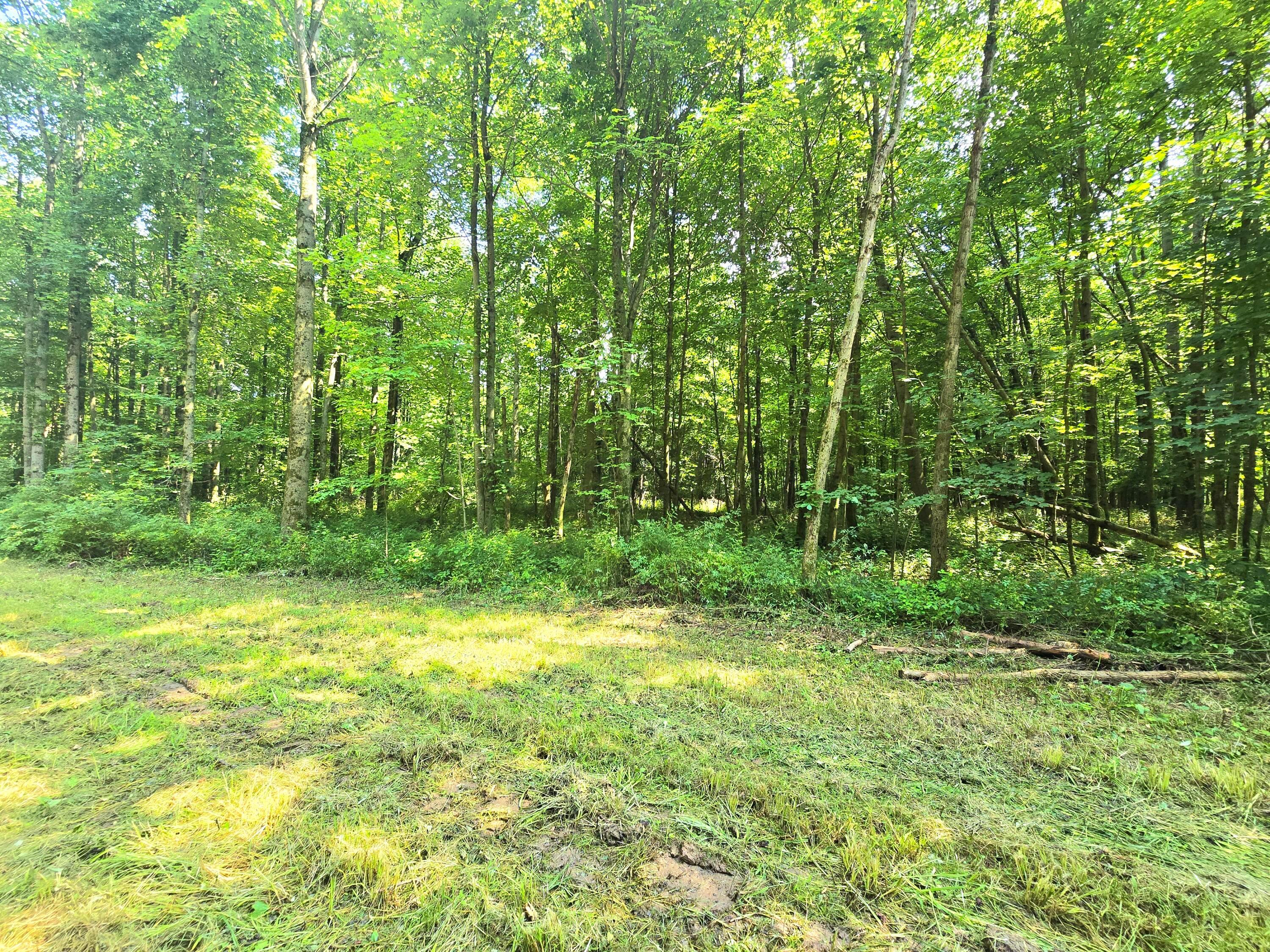 9026-1 Gregg Road Fredericktown, OH 43019 - Photo 14 of 16 1000062284