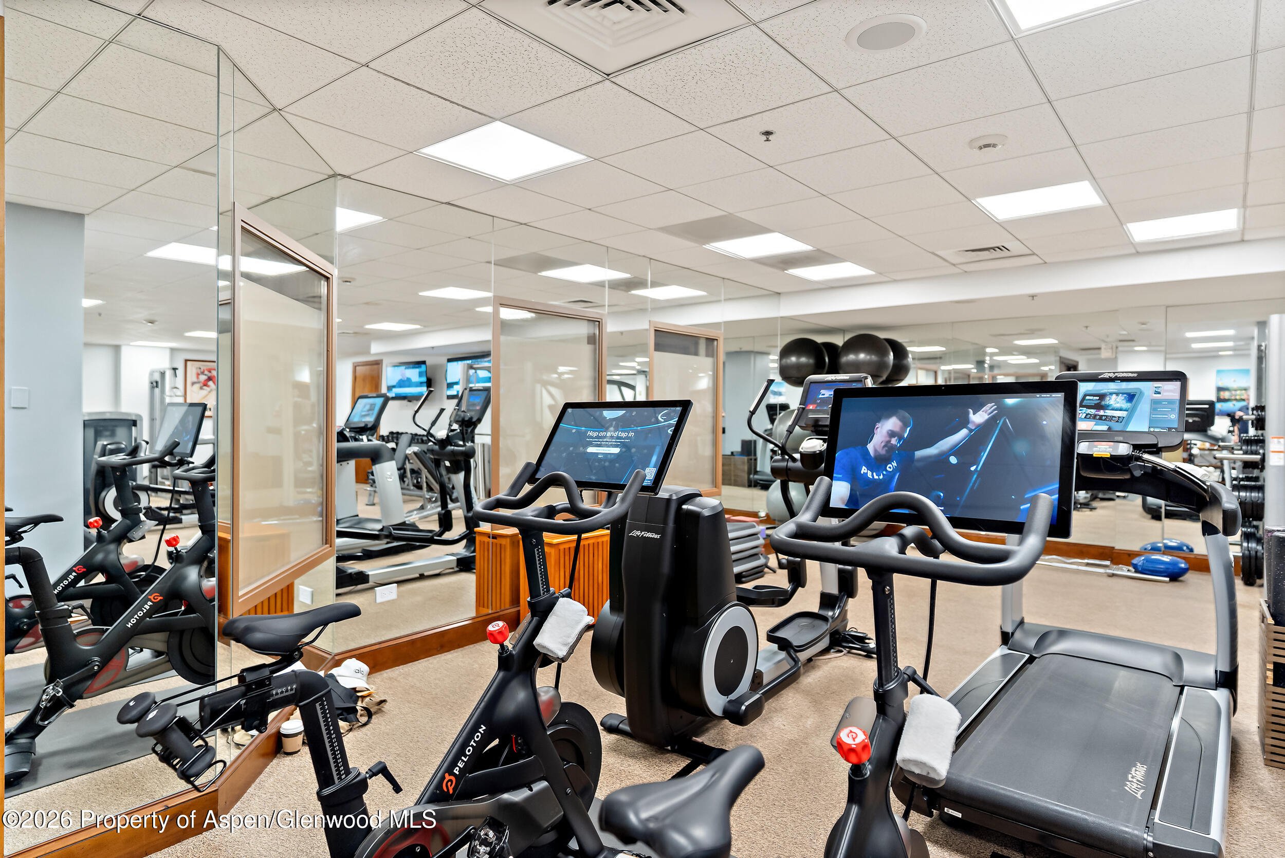 39 Boomerang Road, Unit 8210/WINTER INTEREST 3 Aspen, CO 81611 - Photo 41 of 44 a room with gym equipment and mirror