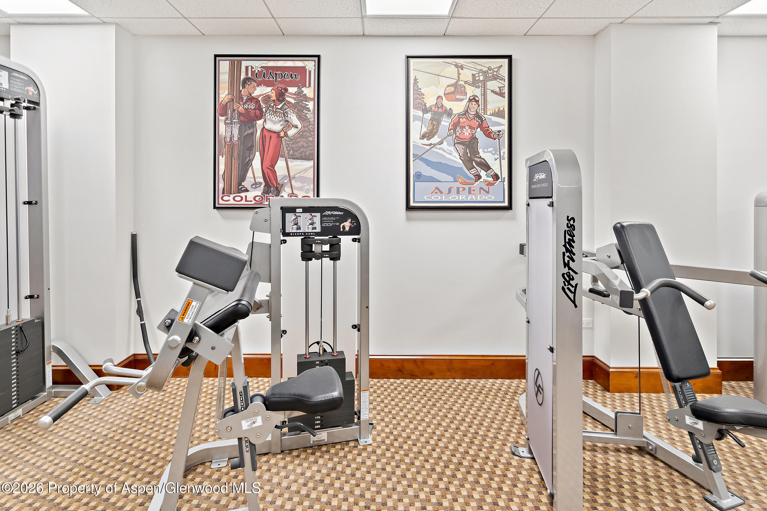 39 Boomerang Road, Unit 8210/WINTER INTEREST 3 Aspen, CO 81611 - Photo 42 of 44 a view of a room with gym equipment