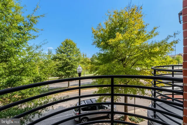 a view of outdoor space with garden and entertaining space