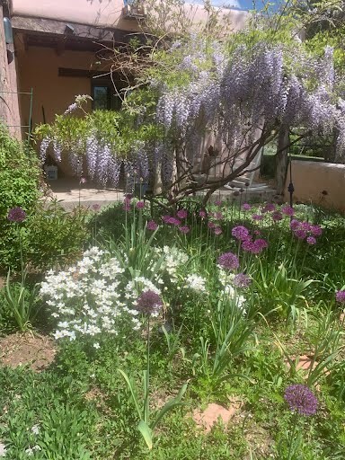 Entrance to the house from the front garden