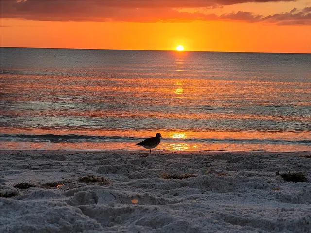 $9,000 | 4325 Gulf Of Mexico Drive, Unit 406, Longboat Key, FL 34228