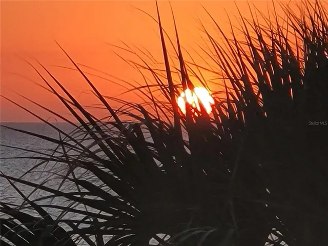 $9,000 | 4325 Gulf Of Mexico Drive, Unit 406, Longboat Key, FL 34228